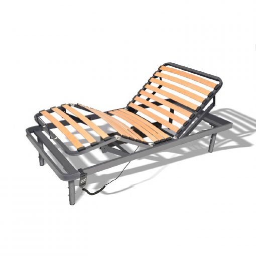 08.17.00-Geriatric-01